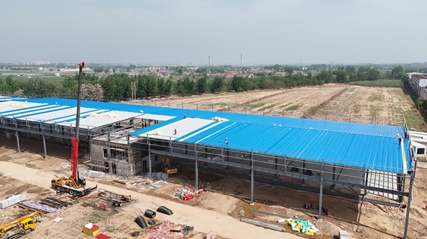 鋼結構網架設計